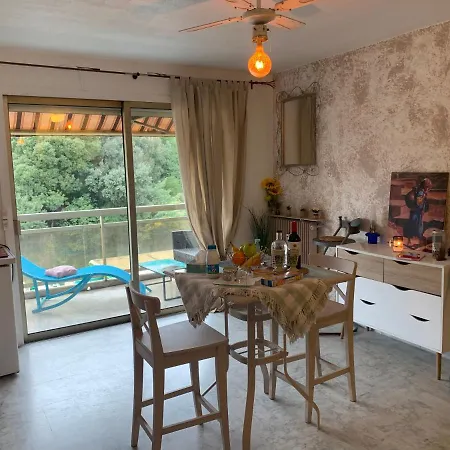 Luxurious Studio In Cannes 450M From Sea With Terrace And Air Conditioning And Private Parking Extérieur photo